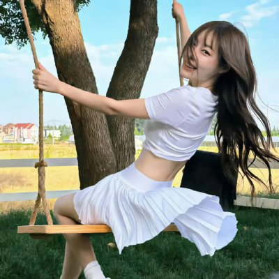 完美计划